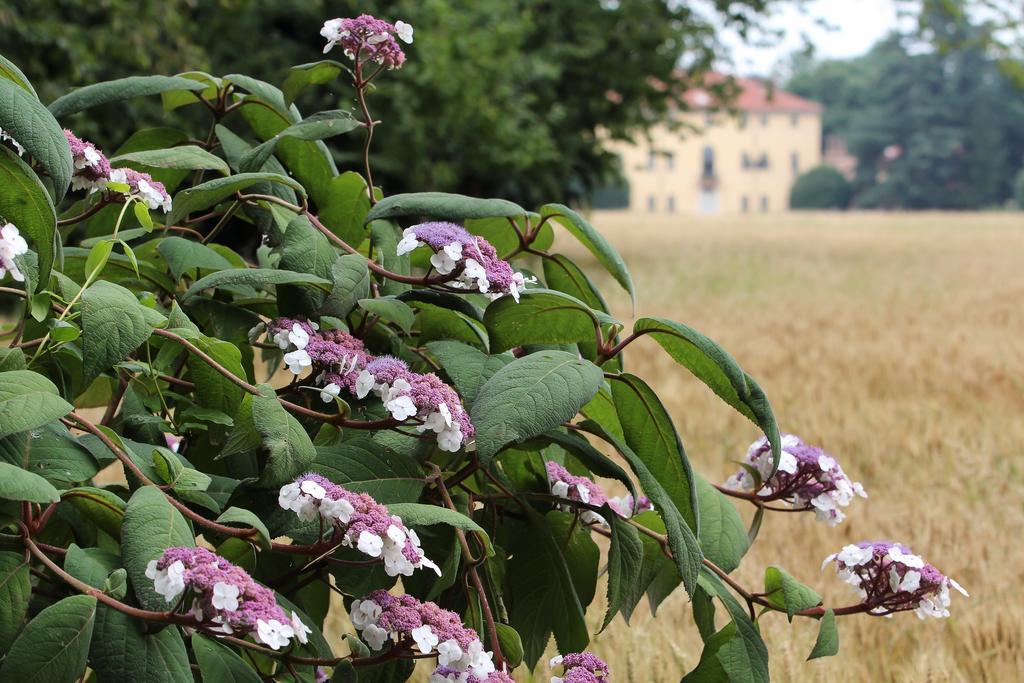 Agriturismo Il Torrione Pinerolo Luaran gambar